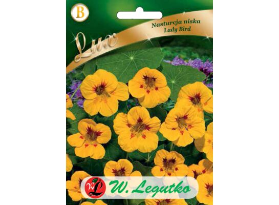 Nasturcja niska Lady Bird złota z czerwonymi plamkami 30-40 cm W.Legutko