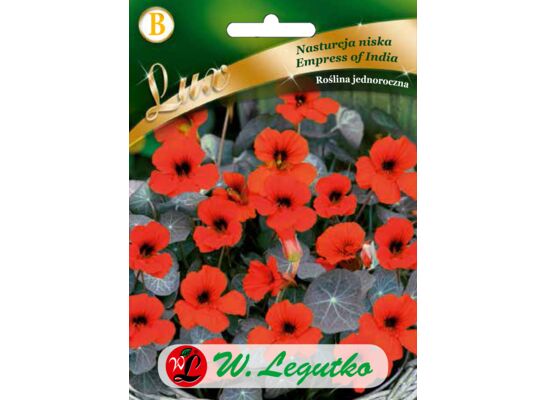 Nasturcja niska Empress of India szkarłatna, liść ciemny 30-40 cm W.Legutko