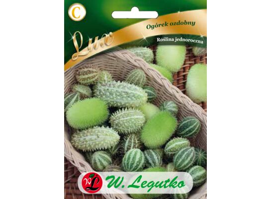 Ogórek ozdobny 200 cm W.Legutko