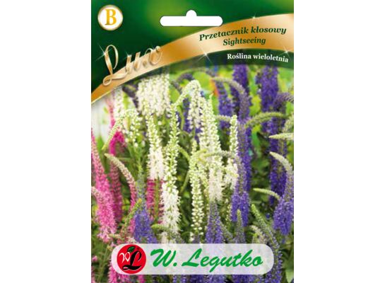 Przetacznik kłosowy Sightseeing mieszanka 50-60 cm W.Legutko