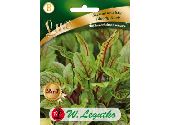 Szczaw krwisty Bloody Dock, liście z czerwonymi żyłkami 40-60 cm W.Legutko