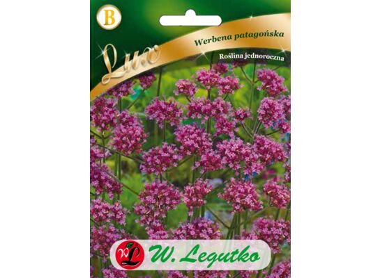 Werbena patagońska liliowa 120 cm W.Legutko