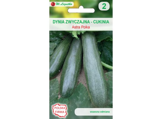 Dynia zwyczajna cukinia Astra Polka VII-IX W.Legutko