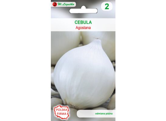 Cebula Agostana W.Legutko
