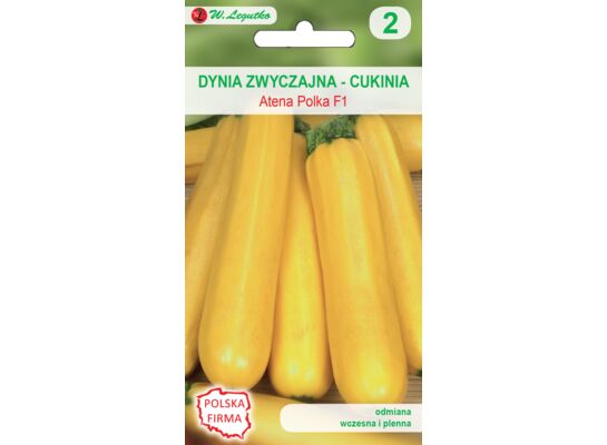Dynia zwyczajna cukinia Atena Polka F1 W.Legutko