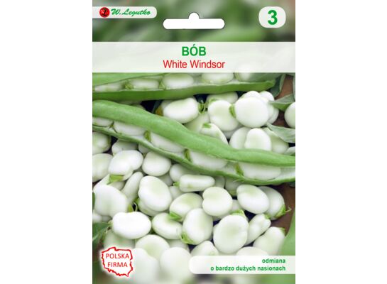 Bób ogrodowy Windsor biały VII W.Legutko