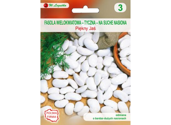 Fasola wielokwiatowa tyczna na suche nasiona Piękny Jaś 35 g gc. 3 W.Legutko