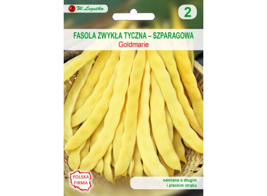Fasola szparagowa tyczna żółtostrąkowa Goldmarie (typ Mamut) VII-VIII W.Legutko