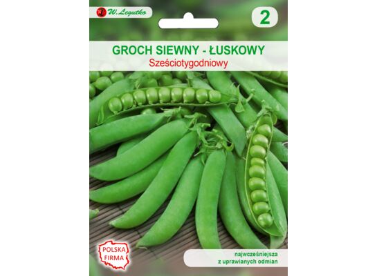 Groch łuskowy sześciotygodniowy III-IV W.Legutko