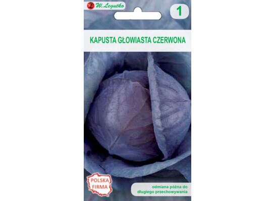 Kapusta włoska Langedijská W.Legutko