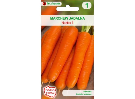 Marchew (Nantejska) Nantes 3 III-VI, XI W.Legutko