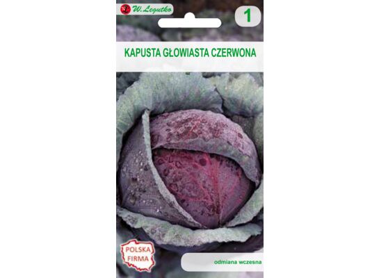 Kapusta głowiasta czerwona Haco W.Legutko