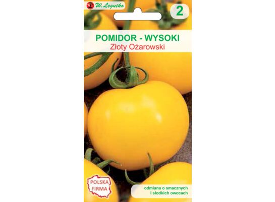Pomidor gruntowy wysoki Złoty Ożarowski W.Legutko