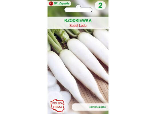 Rzodkiewka Sopel Lodu wrzecionowata biała W.Legutko