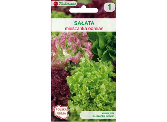 Sałata mieszanka odmian W.Legutko