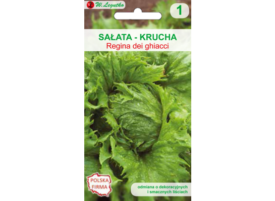 Sałata głowiasta krucha lodowa Regina Dei Ghiacci W.Legutko