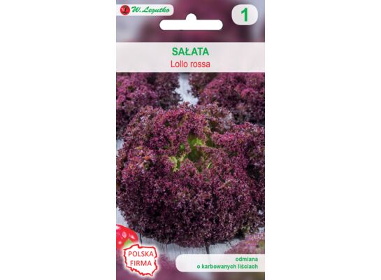 Sałata liściowa Lollo Rossa W.Legutko