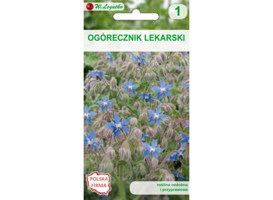 Ogórecznik lekarski W.Legutko
