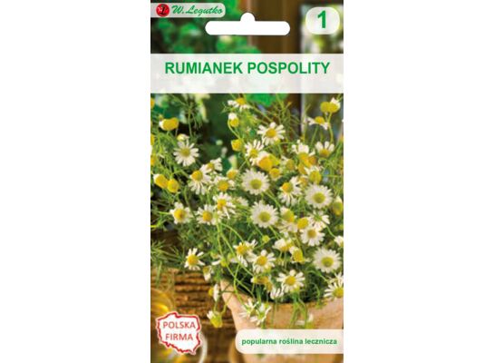 Rumianek pospolity W.Legutko