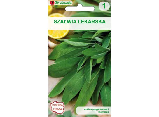 Szałwia lekarska W.Legutko