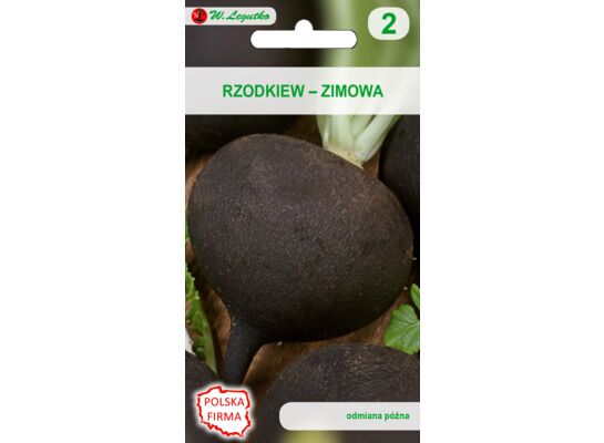 Rzodkiew zimowa Runder Schwarzer Winter W.Legutko