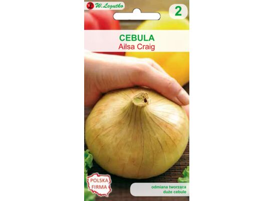 Cebula Ailsa Craig IV W.Legutko