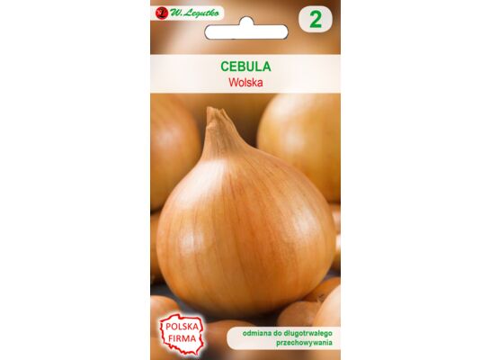 Cebula Wolska VIII-IX W.Legutko