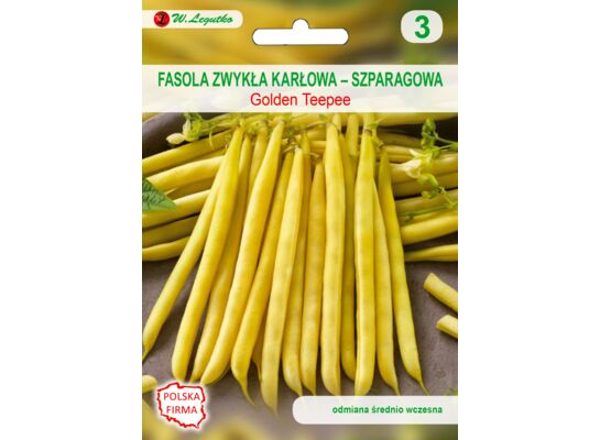 Fasola szparagowa żółtostrąkowa Golden Teepee 35 g gc. 3 W.Legutko