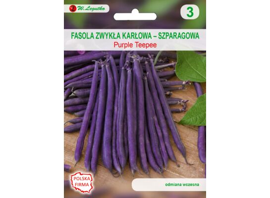Fasola szparagowa karłowa fioletowostrąkowa Purple Teepee 35 g gc. 3 W.Legutko