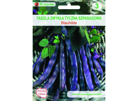 Fasola szparagowa tyczna fioletowostrąkowa Blauhilde 10 g gc. 3 W.Legutko