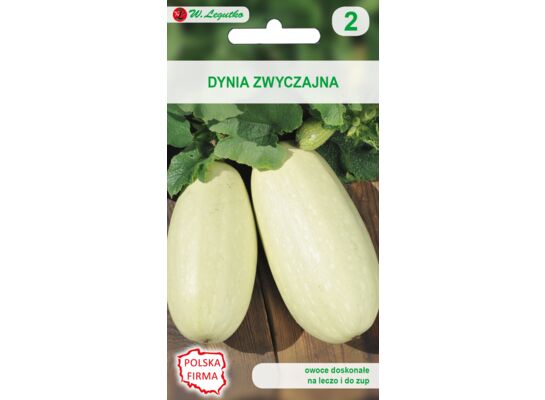 Dynia zwyczajna kabaczek Long White Bush 2 W.Legutko