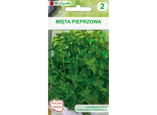 Mięta pieprzowa W.Legutko