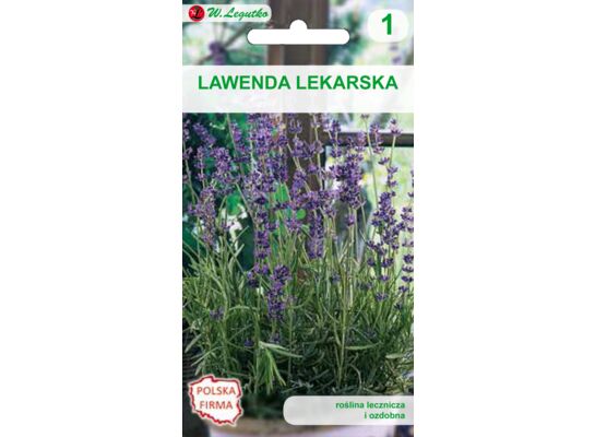 Lawenda lekarska W.Legutko