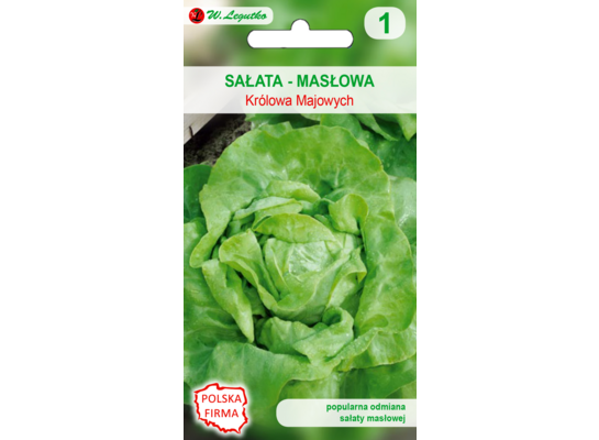 Sałata głowiasta masłowa May King (Królowa Majowych) W.Legutko