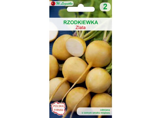 Rzodkiewka Zlata W.Legutko