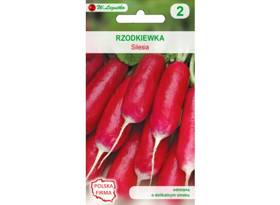 Rzodkiewka Silesia W.Legutko