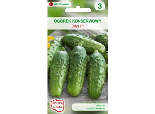 Ogórek gruntowy - konserwowy Odys mieszaniec średnio wczesny 5g gc. 3 W.Legutko