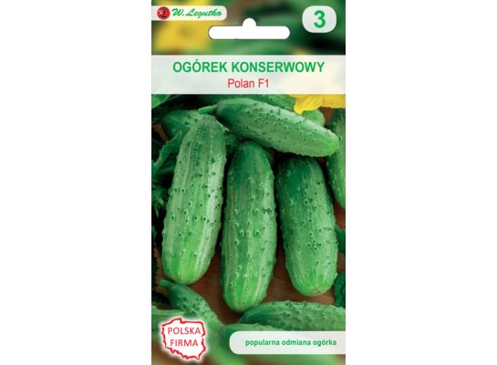 Ogórek gruntowy konserwowy Polan mieszaniec średnio wczesny 4 g gc. 3 W.Legutko