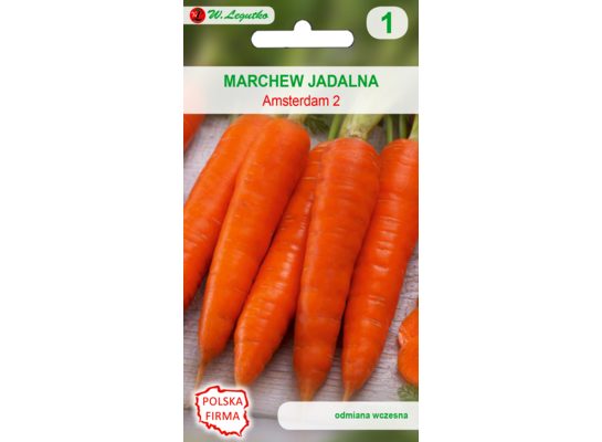 Marchew (Amsterdamska) Amsterdam 2 W.Legutko