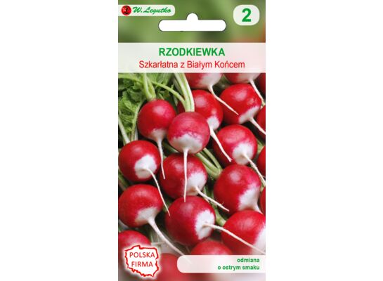 Rzodkiewka Szkarłatna z białym końcem IV-VI, IX W.Legutko
