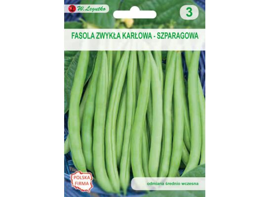 Fasola szparagowa karłowa zielonostrąkowa Cropper Teepee 35 g gc. 3 W.Legutko