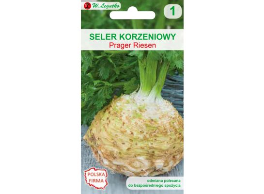 Seler korzeniowy Prager Reuzen W.Legutko