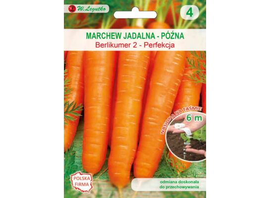 Nasiona na taśmie marchew Berlikumer 2 Perfekcja W.Legutko