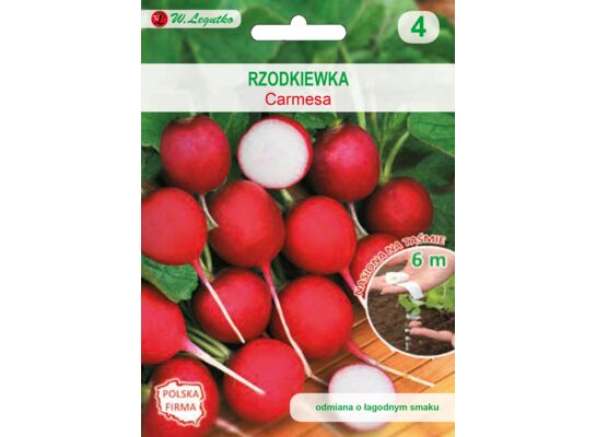 Nasiona na taśmie rzodkiewka Carmesa III-V, VIII W.Legutko