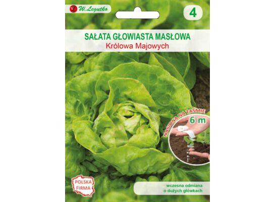 Nasiona na taśmie sałata głowiasta masłowa May King (Królowa Majowych) W.Legutko
