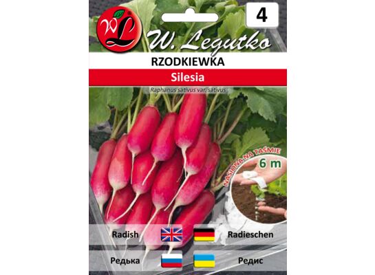 Nasiona na taśmie rzodkiewka Silesia W.Legutko