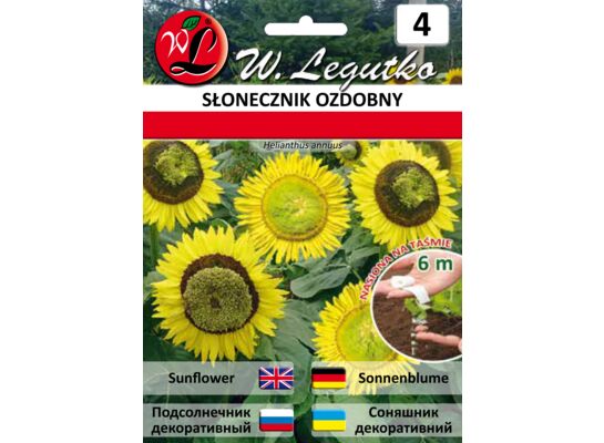 Nasiona na taśmie słonecznik ozdobny W.Legutko