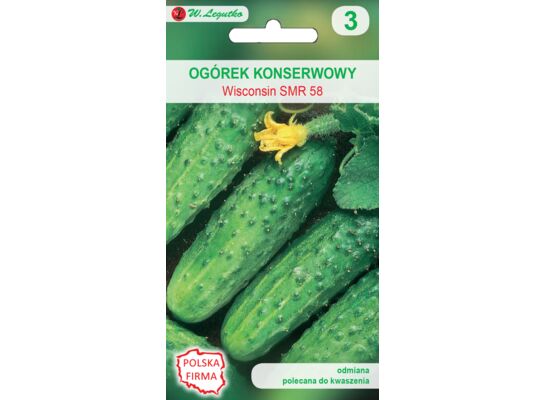 Ogórek gruntowy konserwowy i do kwaszenia Wisconsin SMR 58 5 g gc. 3 W.Legutko