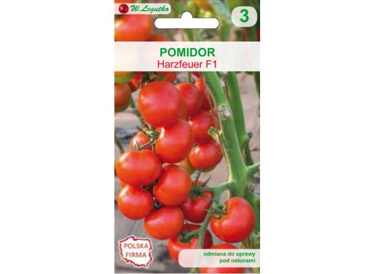 Pomidor Harzfeuer F1 0,1 g gc. 3 W.Legutko