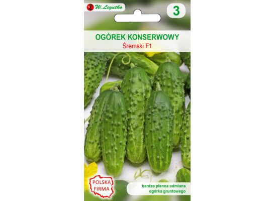 Ogórek gruntowy konserwowy Śremski mieszaniec bardzo wczesny 3 g gc. 3 W.Legutko